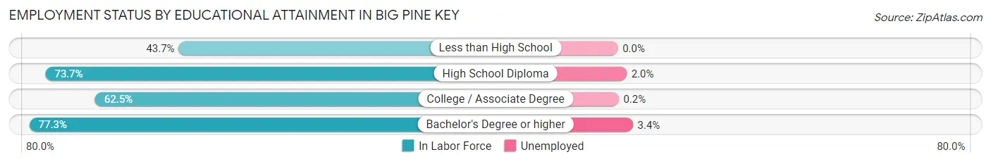 Employment Status by Educational Attainment in Big Pine Key