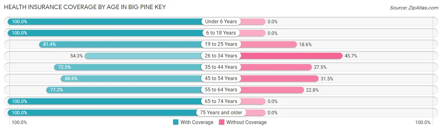 Health Insurance Coverage by Age in Big Pine Key
