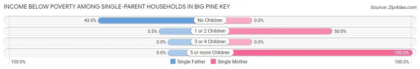 Income Below Poverty Among Single-Parent Households in Big Pine Key