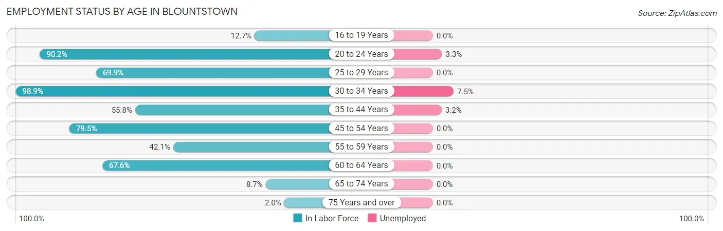 Employment Status by Age in Blountstown