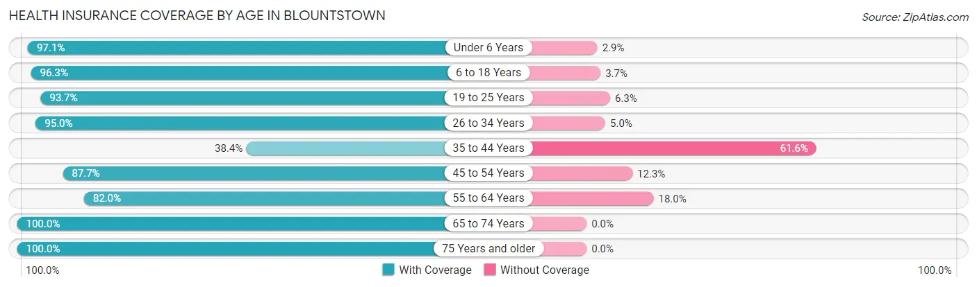 Health Insurance Coverage by Age in Blountstown