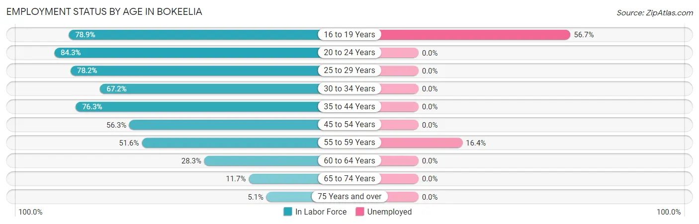 Employment Status by Age in Bokeelia