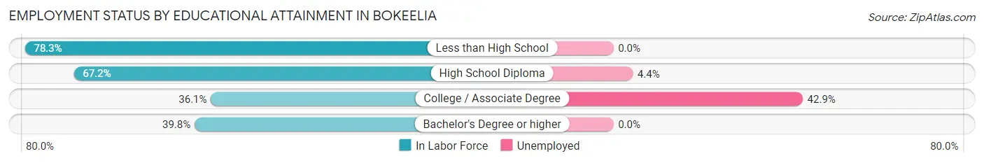 Employment Status by Educational Attainment in Bokeelia
