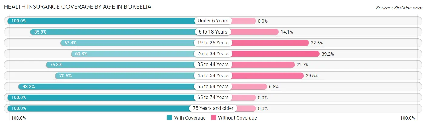 Health Insurance Coverage by Age in Bokeelia