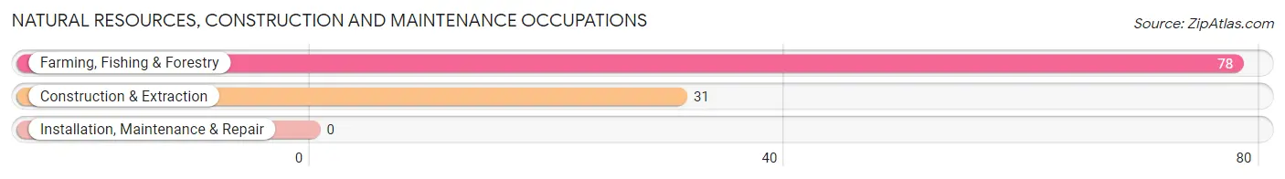 Natural Resources, Construction and Maintenance Occupations in Bokeelia