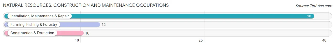 Natural Resources, Construction and Maintenance Occupations in Bronson