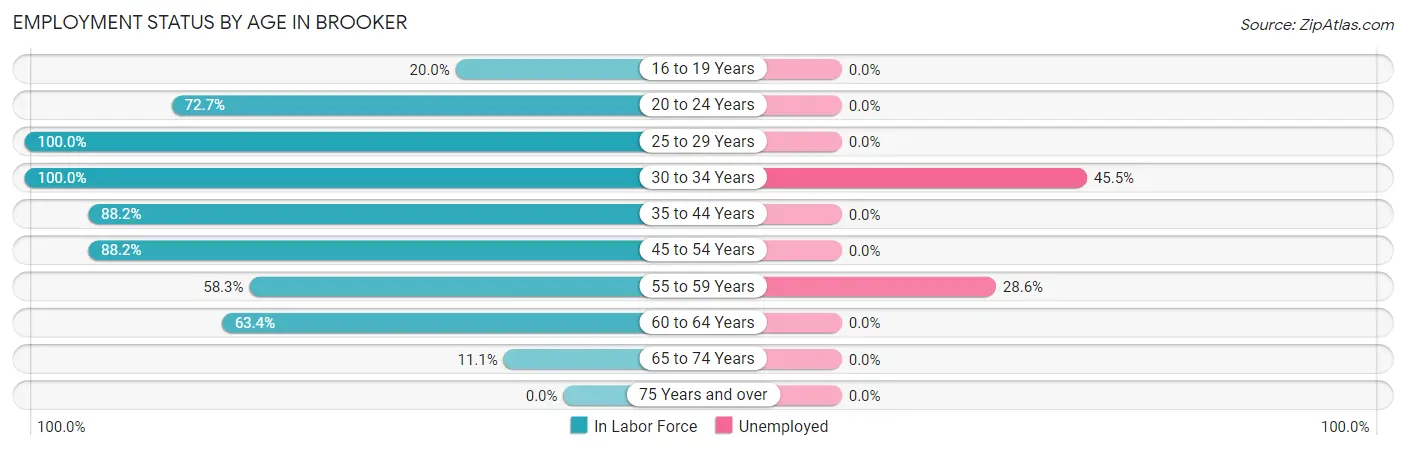 Employment Status by Age in Brooker