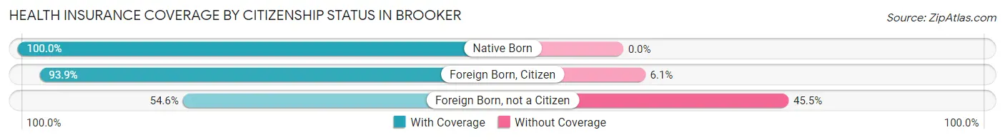 Health Insurance Coverage by Citizenship Status in Brooker