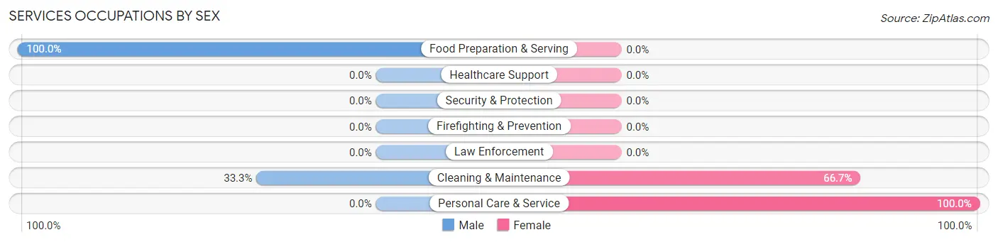 Services Occupations by Sex in Brooker