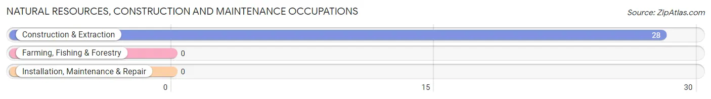 Natural Resources, Construction and Maintenance Occupations in Cedar Key