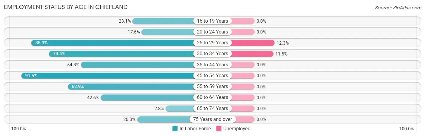 Employment Status by Age in Chiefland