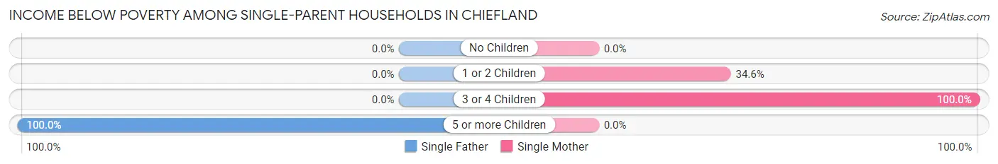 Income Below Poverty Among Single-Parent Households in Chiefland