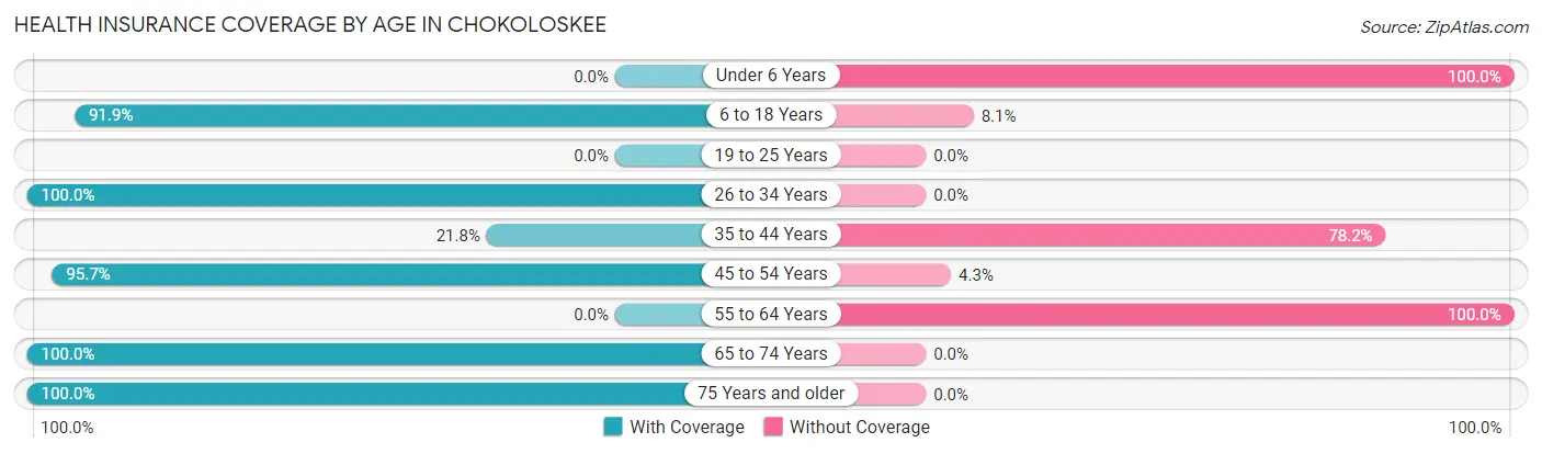 Health Insurance Coverage by Age in Chokoloskee