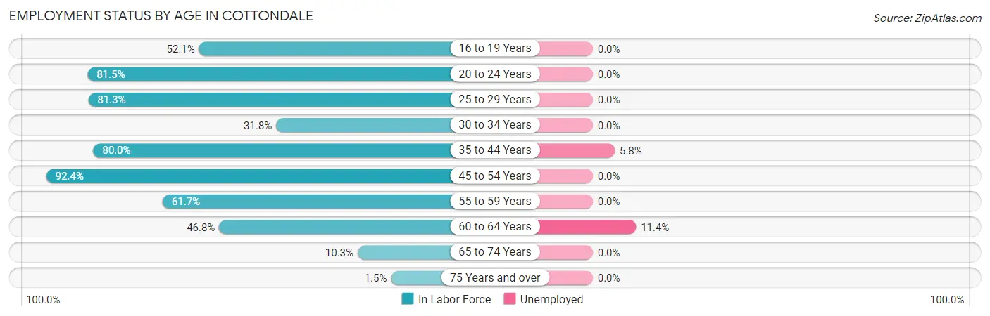 Employment Status by Age in Cottondale