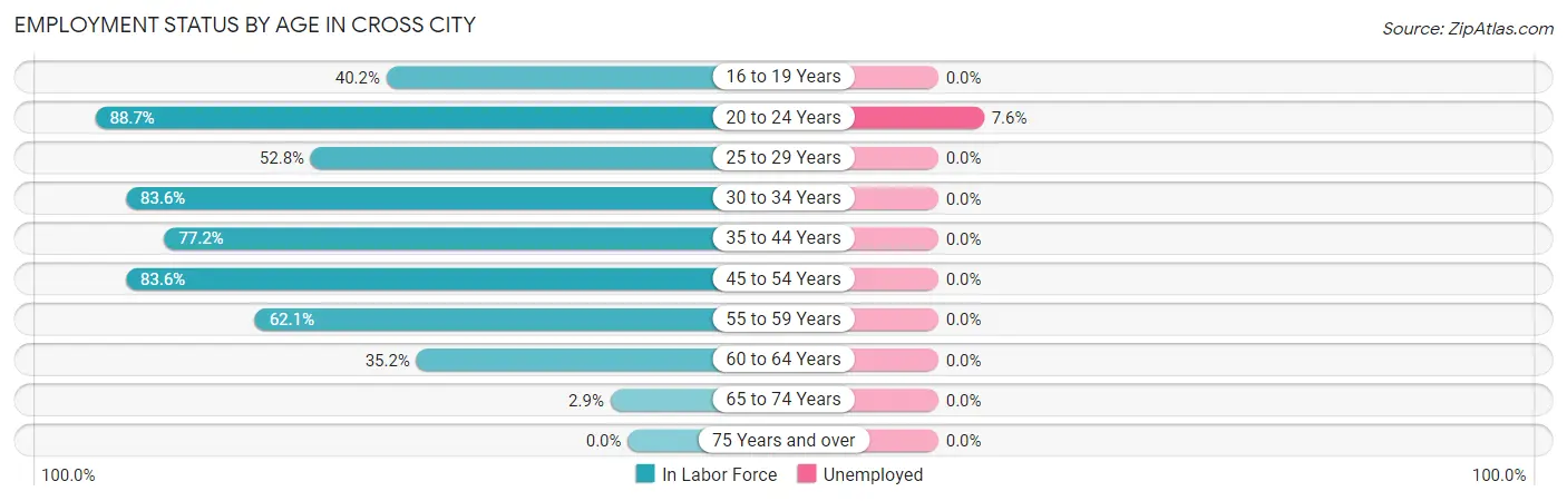 Employment Status by Age in Cross City