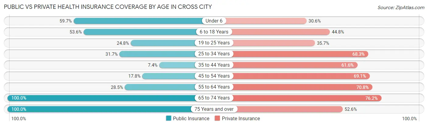 Public vs Private Health Insurance Coverage by Age in Cross City