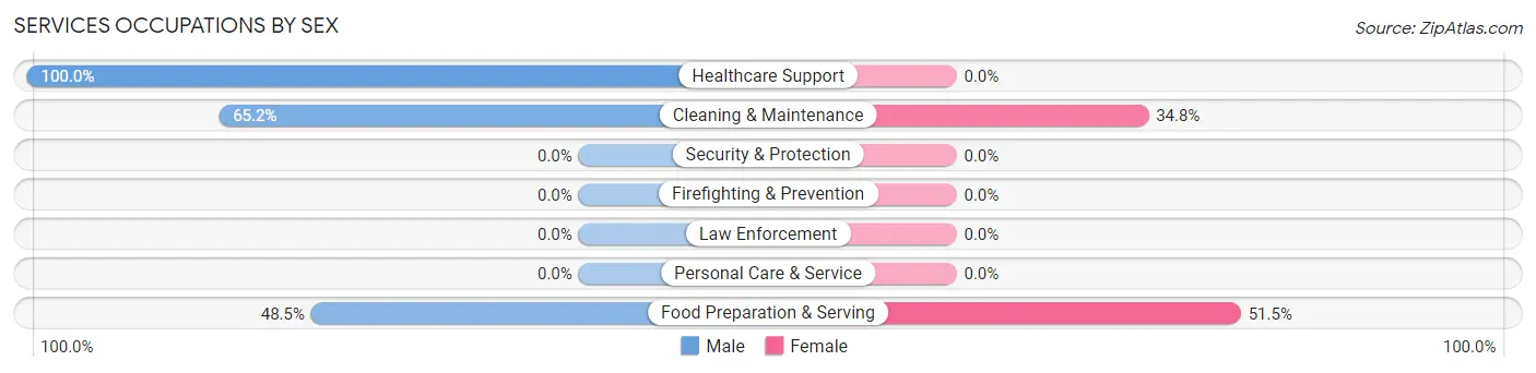 Services Occupations by Sex in De Leon Springs