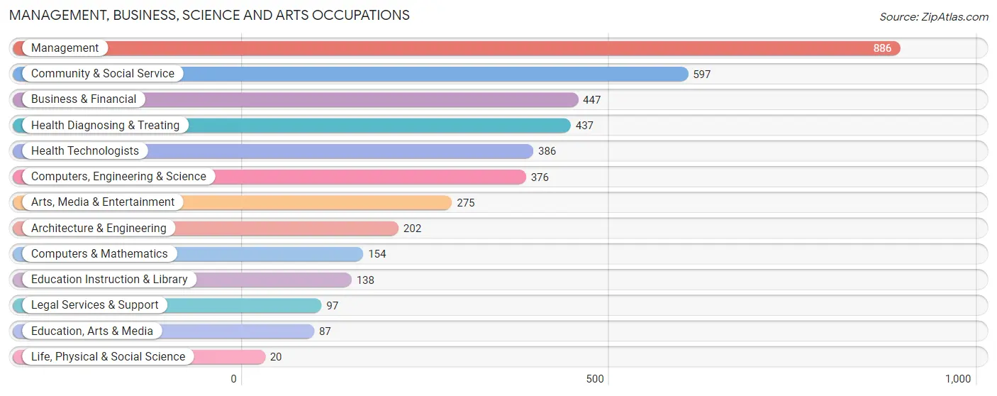 Management, Business, Science and Arts Occupations in Doctor Phillips