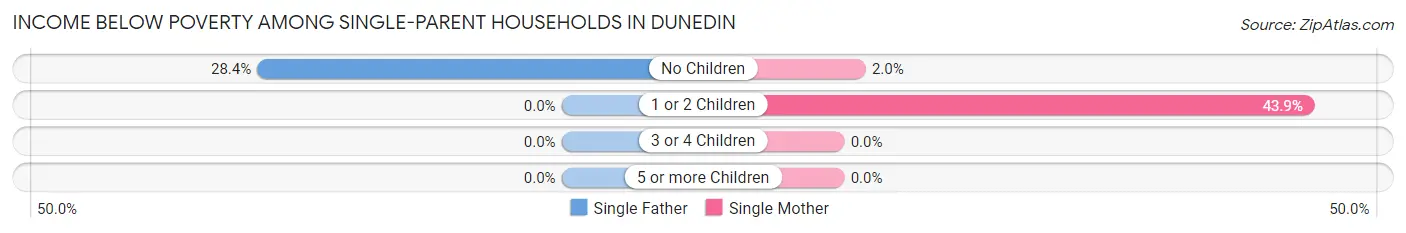 Income Below Poverty Among Single-Parent Households in Dunedin