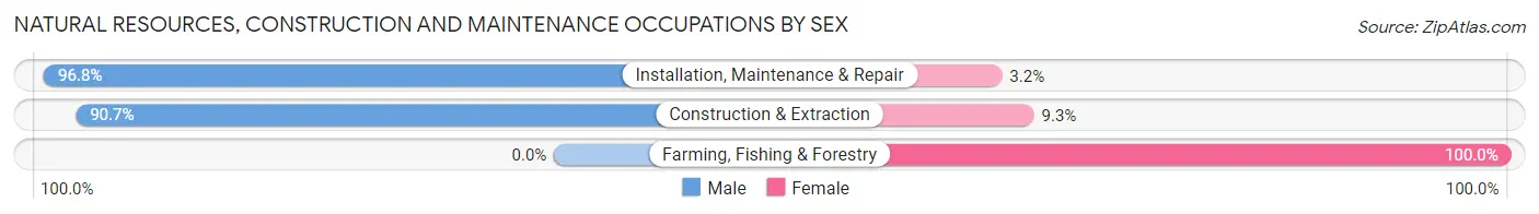 Natural Resources, Construction and Maintenance Occupations by Sex in Dunedin