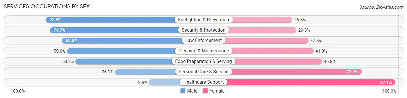 Services Occupations by Sex in Dunedin