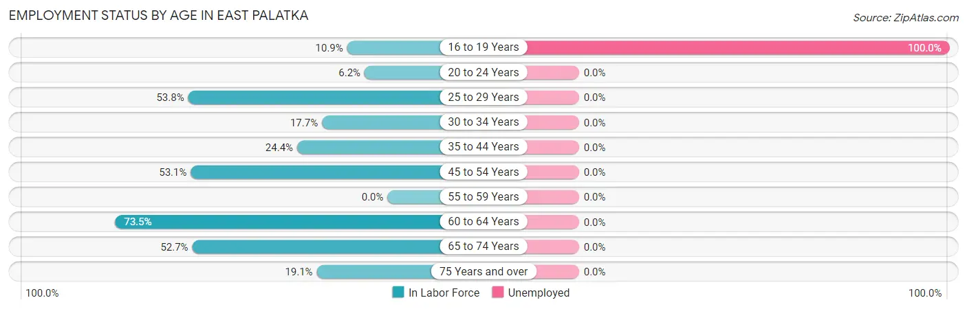 Employment Status by Age in East Palatka