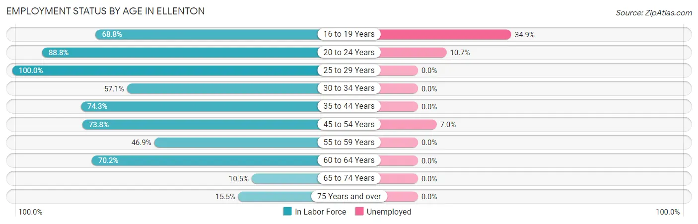 Employment Status by Age in Ellenton
