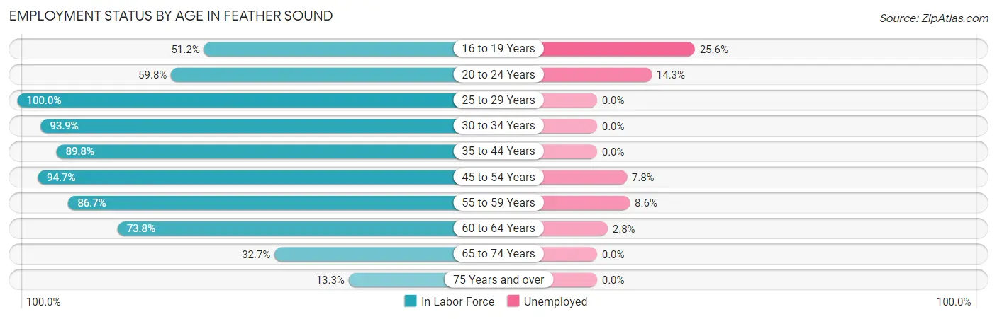 Employment Status by Age in Feather Sound