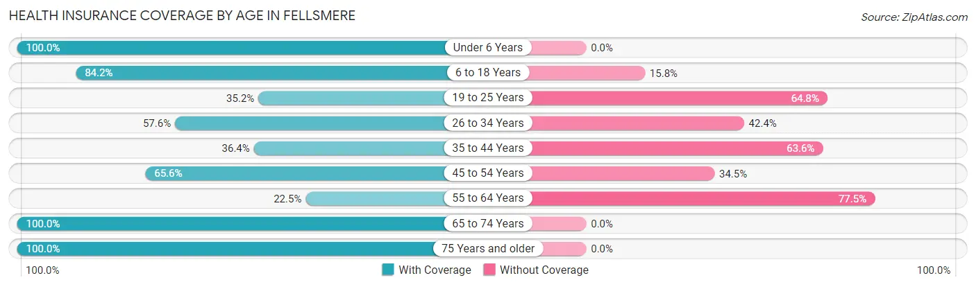 Health Insurance Coverage by Age in Fellsmere