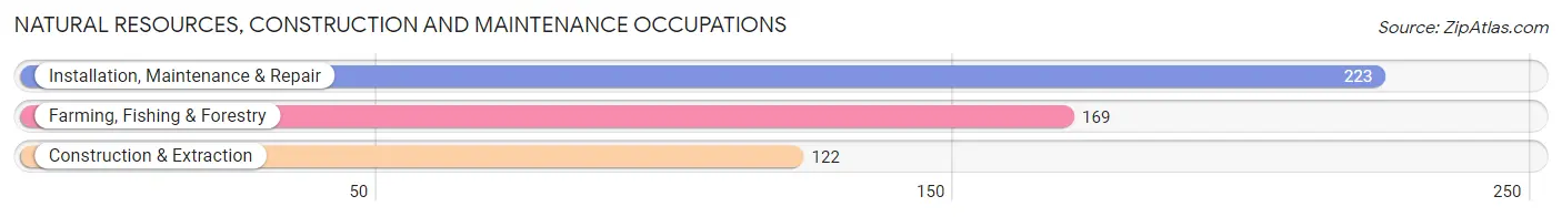 Natural Resources, Construction and Maintenance Occupations in Fellsmere