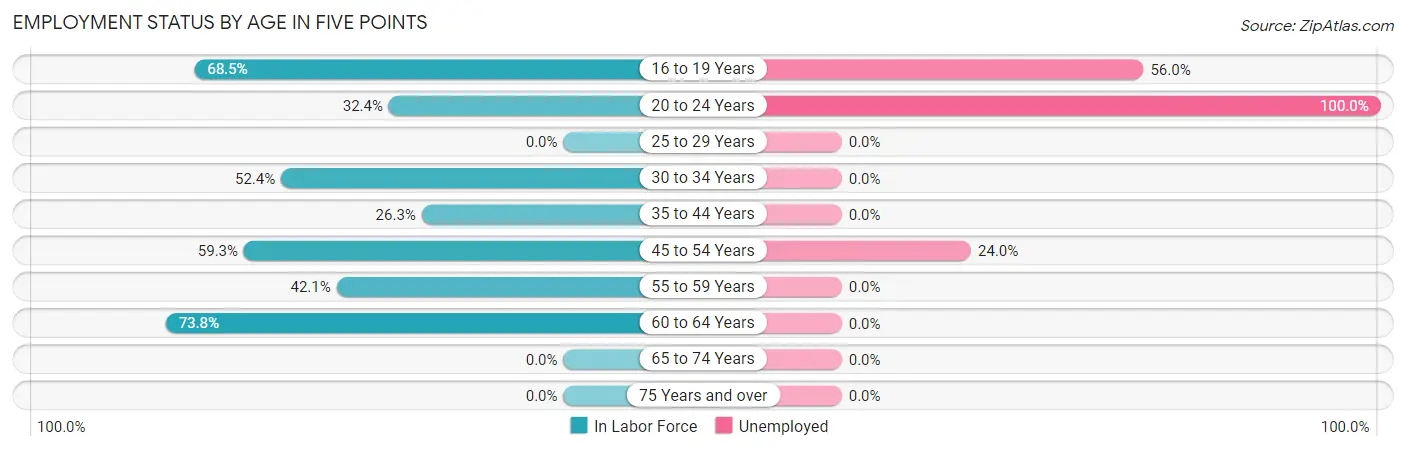 Employment Status by Age in Five Points