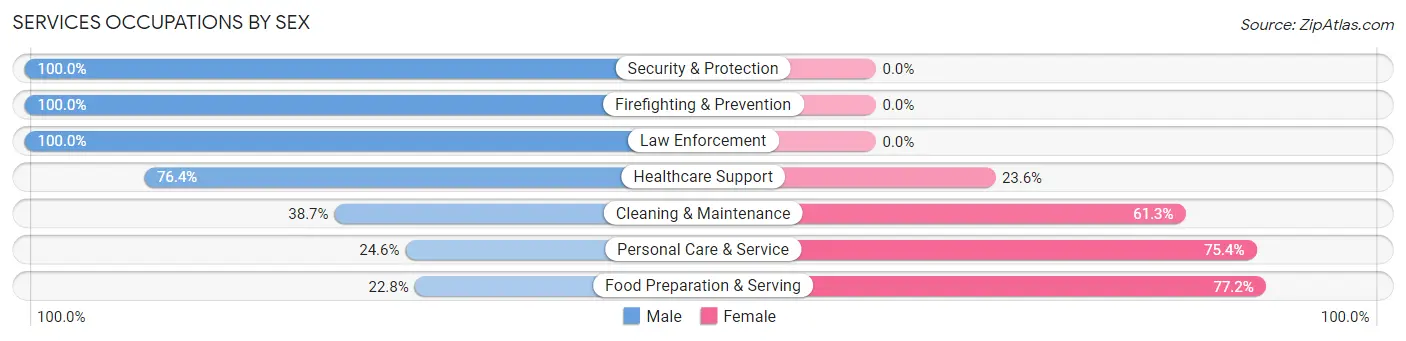 Services Occupations by Sex in Freeport