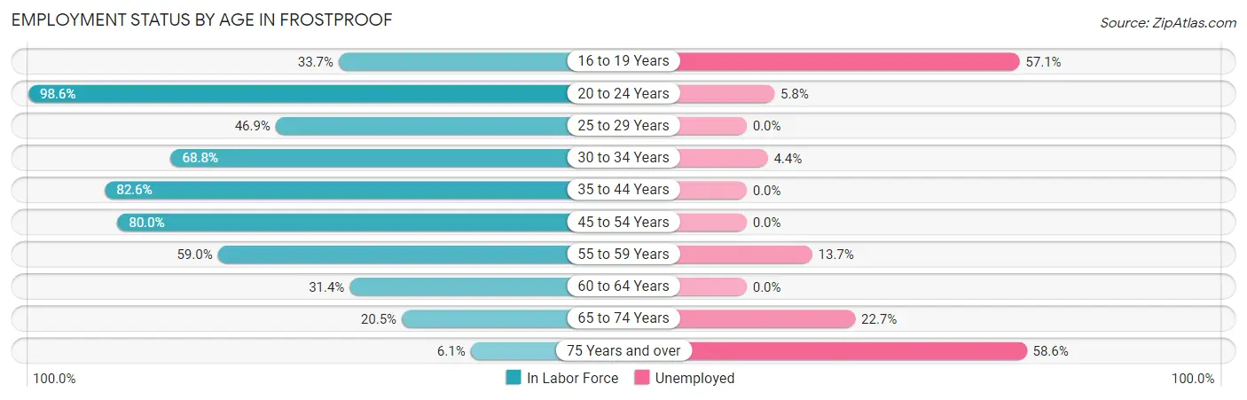 Employment Status by Age in Frostproof