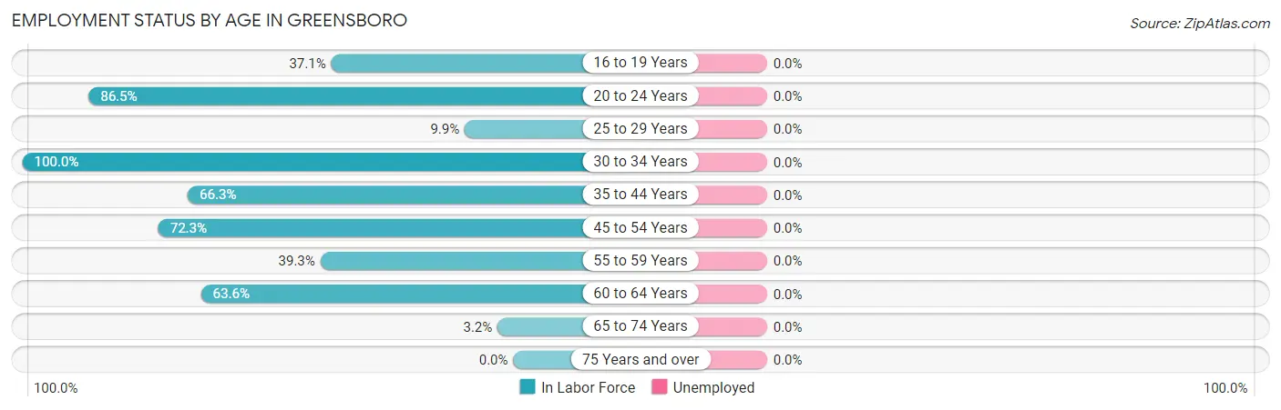 Employment Status by Age in Greensboro