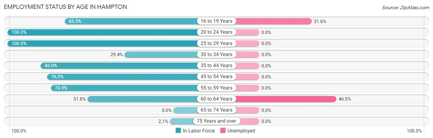 Employment Status by Age in Hampton