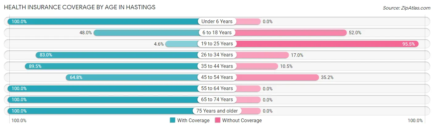 Health Insurance Coverage by Age in Hastings