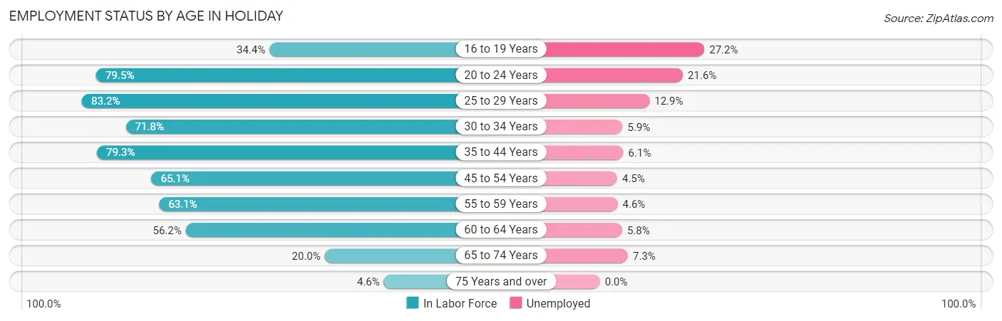 Employment Status by Age in Holiday