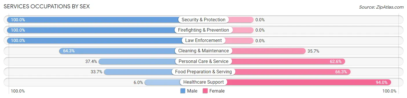 Services Occupations by Sex in Holiday