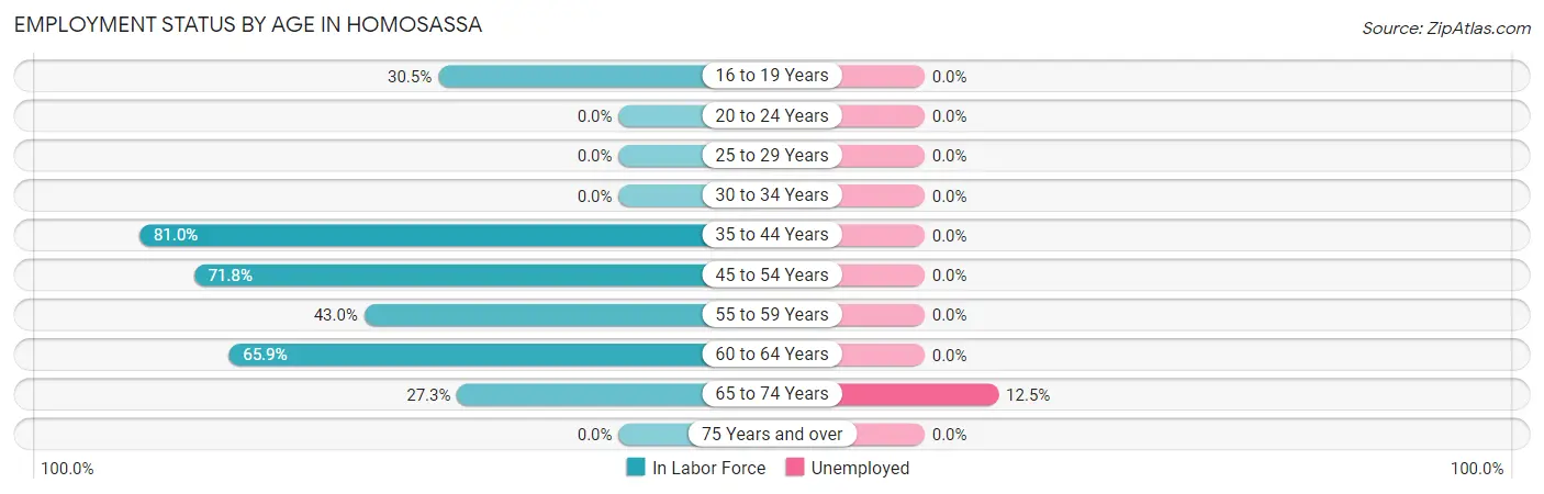 Employment Status by Age in Homosassa