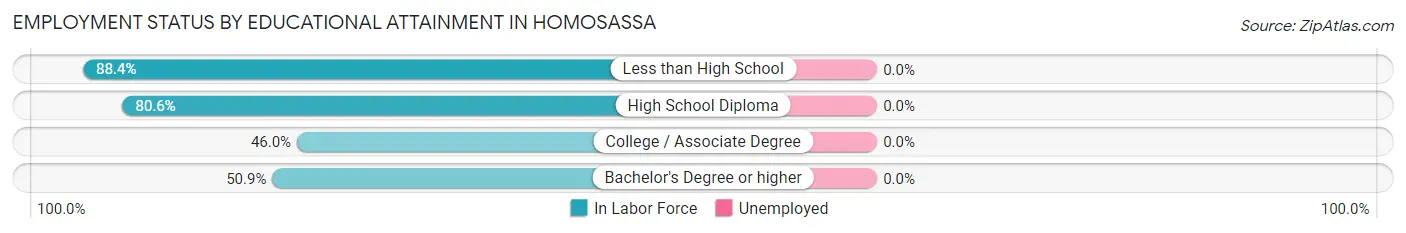 Employment Status by Educational Attainment in Homosassa