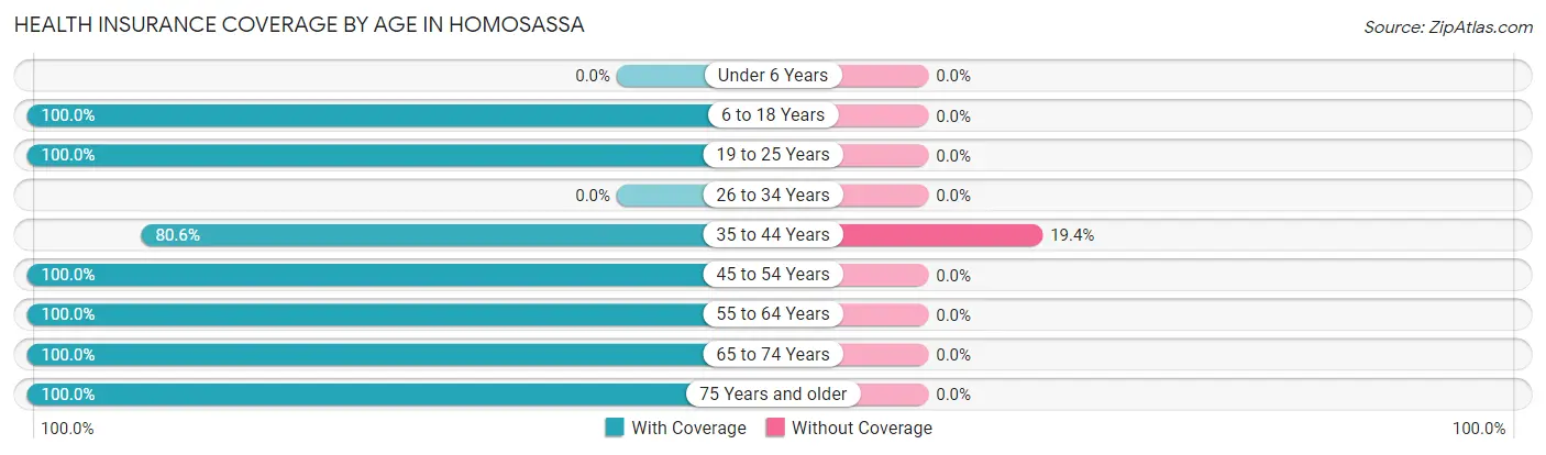 Health Insurance Coverage by Age in Homosassa