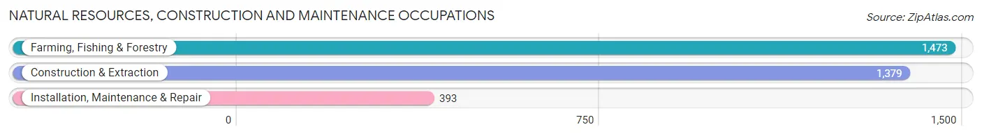 Natural Resources, Construction and Maintenance Occupations in Immokalee