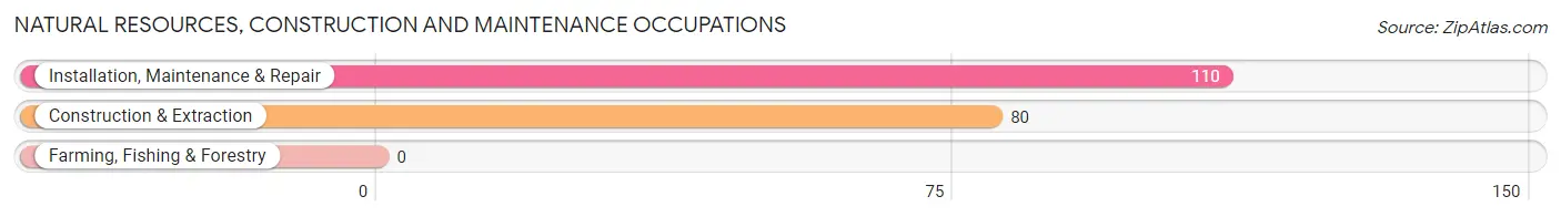 Natural Resources, Construction and Maintenance Occupations in Indian River Estates