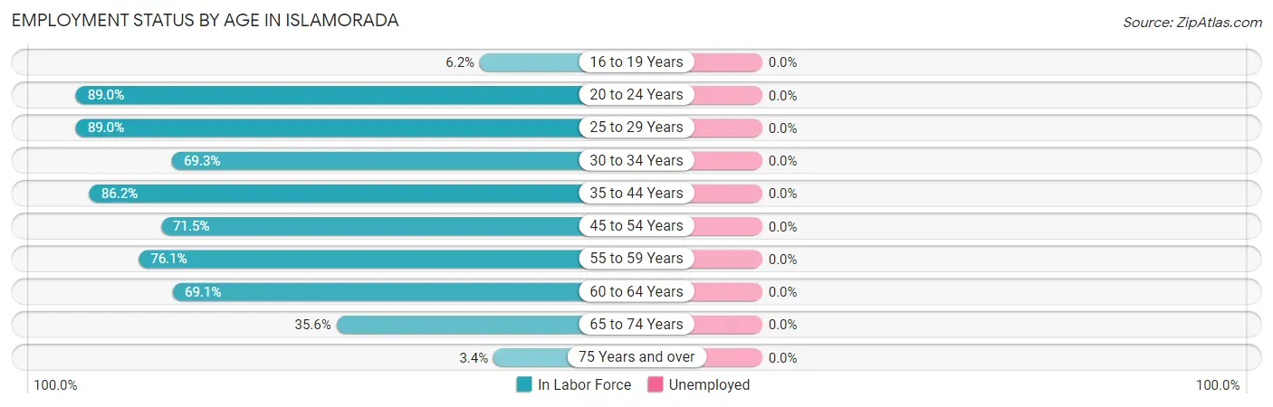Employment Status by Age in Islamorada