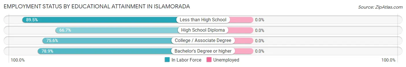 Employment Status by Educational Attainment in Islamorada