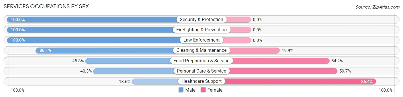 Services Occupations by Sex in Jupiter