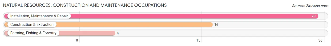 Natural Resources, Construction and Maintenance Occupations in Keystone Heights