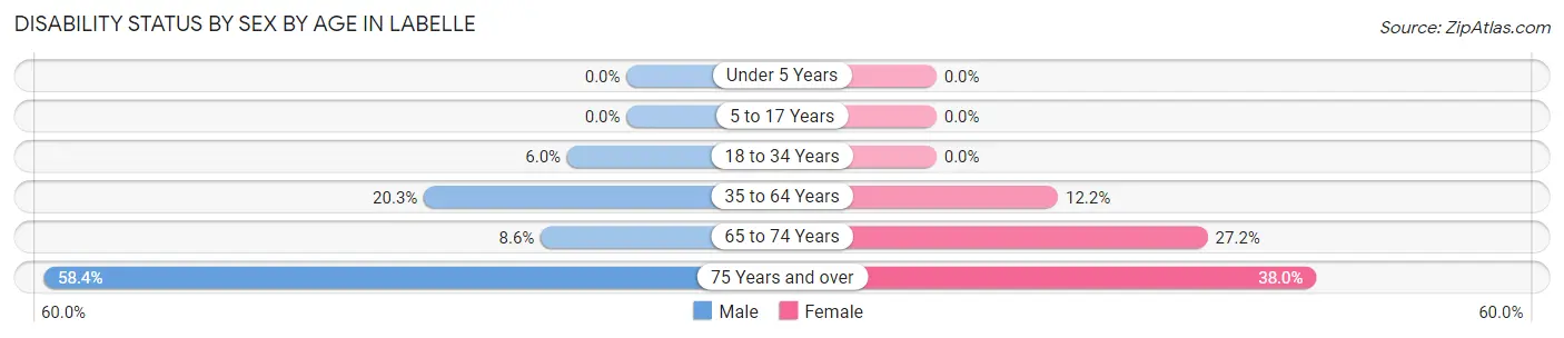 Disability Status by Sex by Age in Labelle