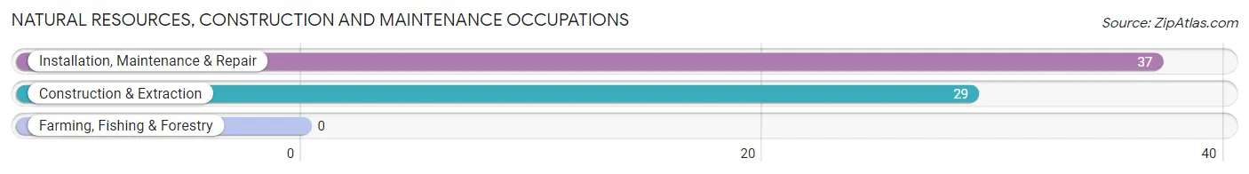 Natural Resources, Construction and Maintenance Occupations in Lake Kerr