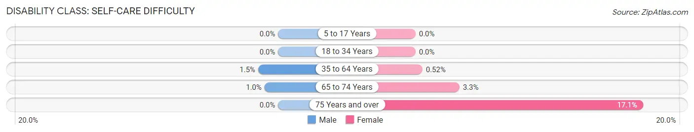 Disability in Lake Mary: <span>Self-Care Difficulty</span>